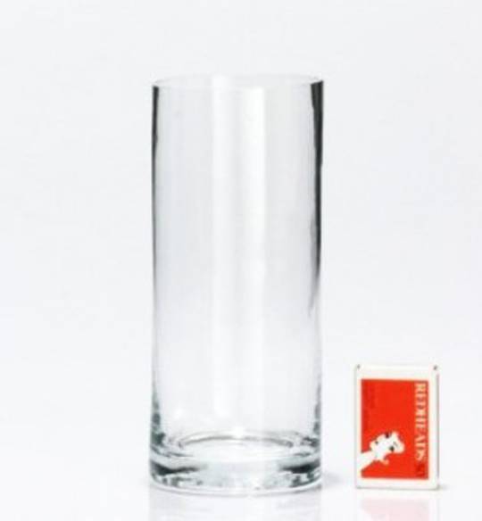 Glass Vase (100 x 350mm)